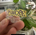 Load image into Gallery viewer, The Pharcyde Gold and Purple Pin