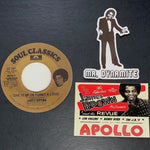 Load image into Gallery viewer, James Brown Stickers