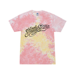 Load image into Gallery viewer, Steely Dan Tie Dye T-Shirt
