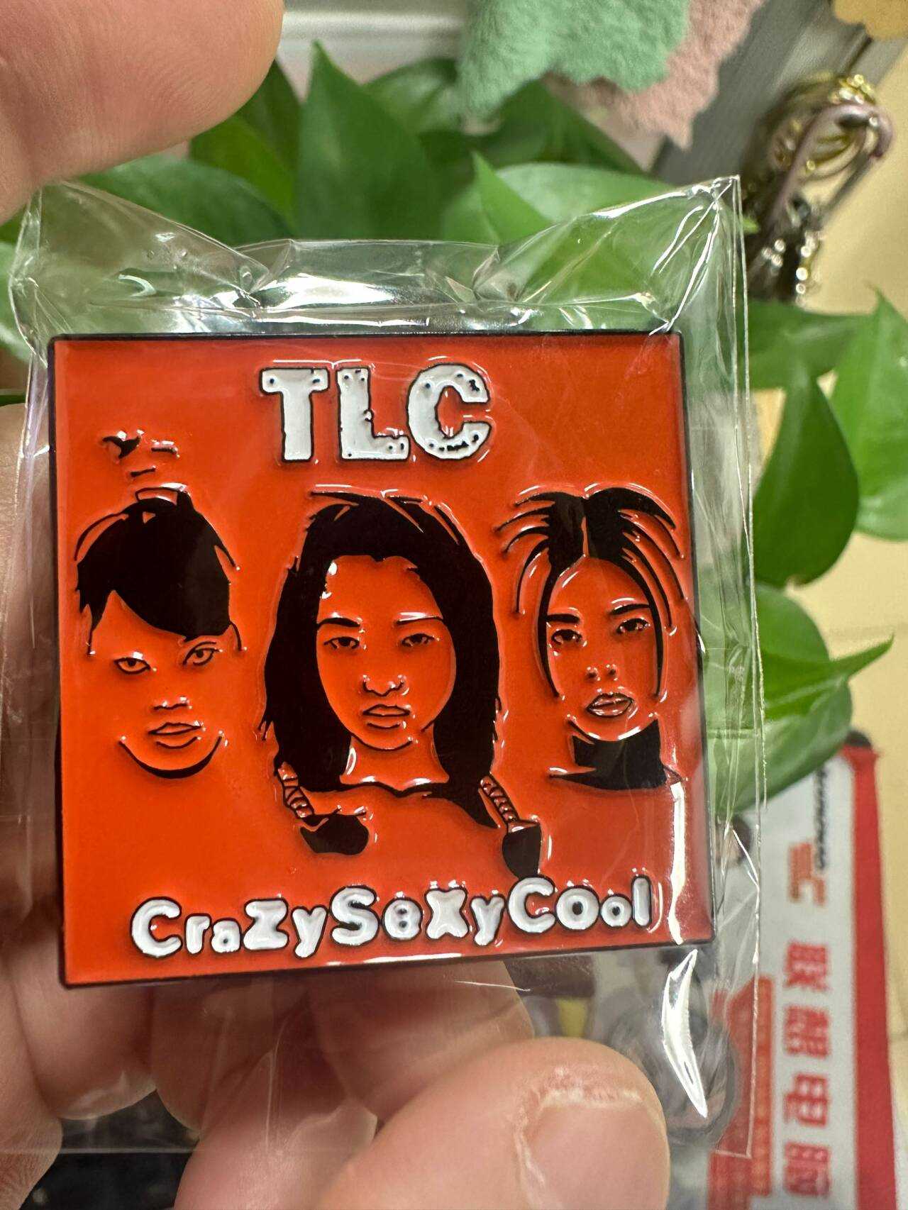 TLC CrazySexyCool Pin