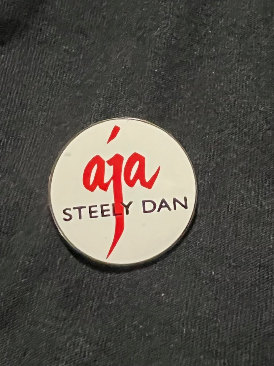 Steely Dan Aja Pin