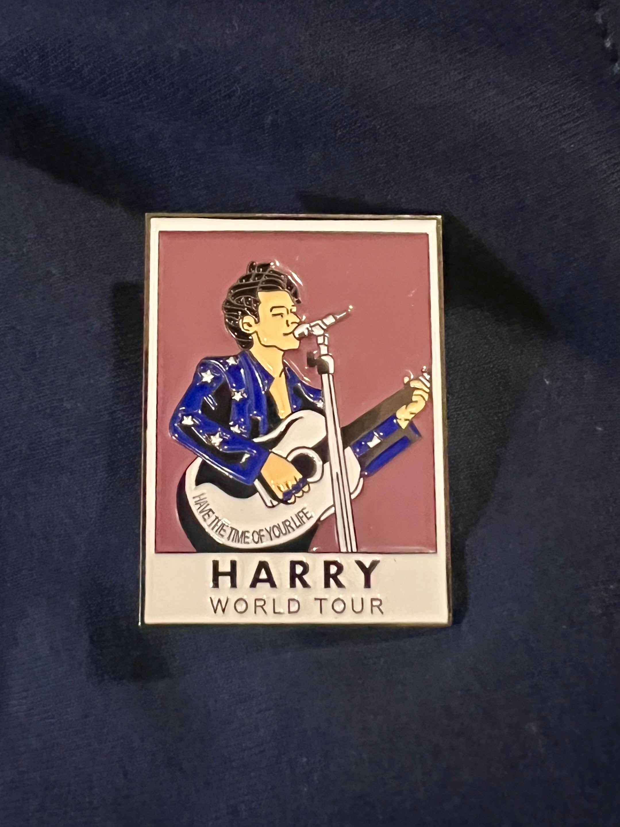 Harry Styes World Tour Pin