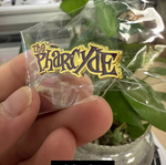 Load image into Gallery viewer, The Pharcyde Gold and Purple Pin
