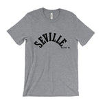 Load image into Gallery viewer, Seville Records T-Shirt
