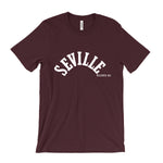 Load image into Gallery viewer, Seville Records T-Shirt
