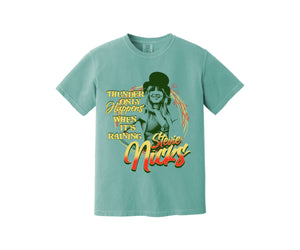 Stevie Nicks Heavyweight Shirt