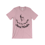Load image into Gallery viewer, Stevie Wonder - Songs In The Key Of Life T-Shirt
