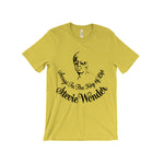 Load image into Gallery viewer, Stevie Wonder - Songs In The Key Of Life T-Shirt
