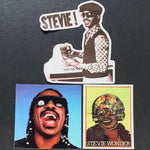 Load image into Gallery viewer, Stevie Wonder Stickers
